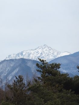 駒ケ岳SA（1200）015.jpg